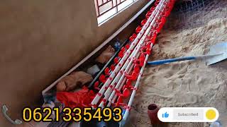 FUGA KUKU KWA NJIA YA LOCAL CAGE  USIPATE MAGONJWA. HII NDIO KIBOKO YA MAGONJWA YA MLIPUKO KWA KUKU.