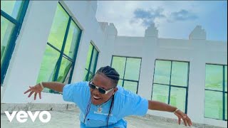 Eltee Skillz - ODG Amapiano (Ayibi Yibiyo) [Official Video]