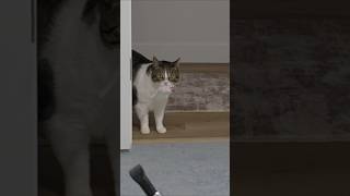 This Trick Never Gets Boring