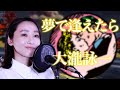 【cover】夢で逢えたら 大瀧詠一 /小林咲稀 Saki Kobayashi