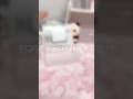 사기 포카포장#컨셉#추천추천추천추천추천추천추천추천추천추천 #구독부탁합니다