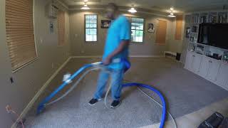 Speed demon carpet cleaning after a ...