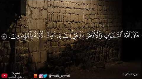 ما أجملها من تلاوة - وديع اليمني - مثل الذين اتخذوا من دون الله أولياء كمثل العنكبوت اتخذت بيتاً