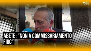 Figc, Abete: "Commissariamento non è  soluzione, calcio può ripartire"