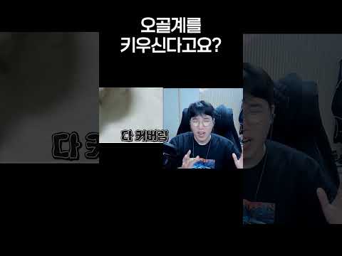 오골계를 키우신다고요?