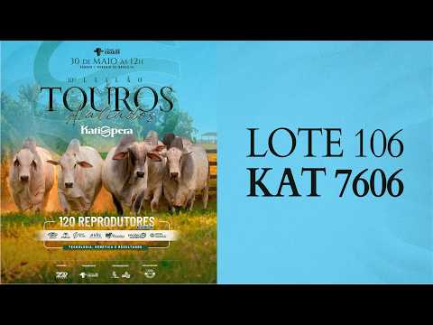 LOTE 106 KAT 7606