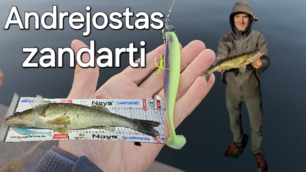 Andrejosta, Zandarti