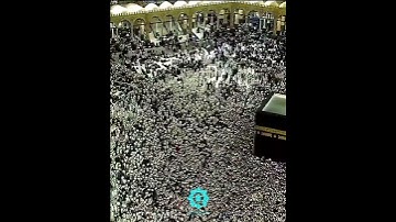 القرآن الكريم - سورة المائدة ٢٦-٣١