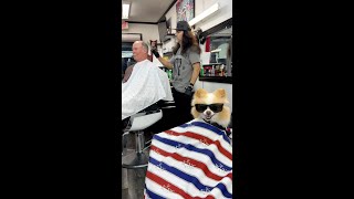 Koda Goes to the Barber Shop