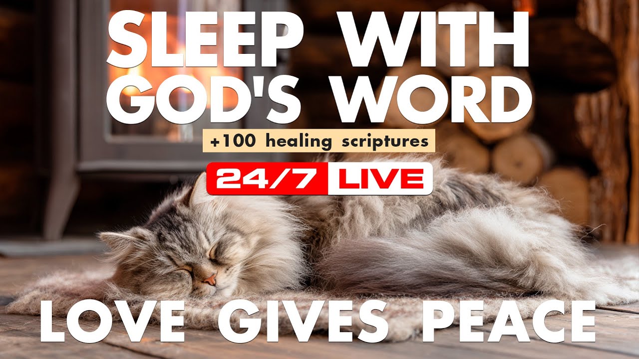 The evening settles into calm. Scripture meditation anchors presence.