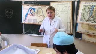 вегетативная нервная система،autonomic nervous system вегетативная нервная система،autonomic nervous system