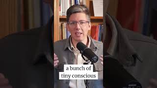 Panpsychism: Are Atoms Conscious Too? @achristianperspective