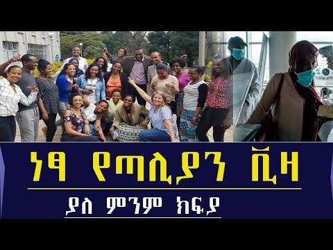 ቪዲዮ: ለጡረታ ሠራተኛ የ Scheንገን ቪዛ እንዴት እንደሚገኝ