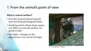 MVS Seminar Series: Advancing the Interests of Animals, by Dr Bidda Jones