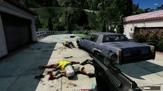 GTA V W.E.R.O. Mod Shootout | Euphoria Physics Mod Showcase