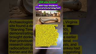Donkeys Arrived in America 400 Years Ago With GLOBAL Origins? #shorts #feed #fyp #history