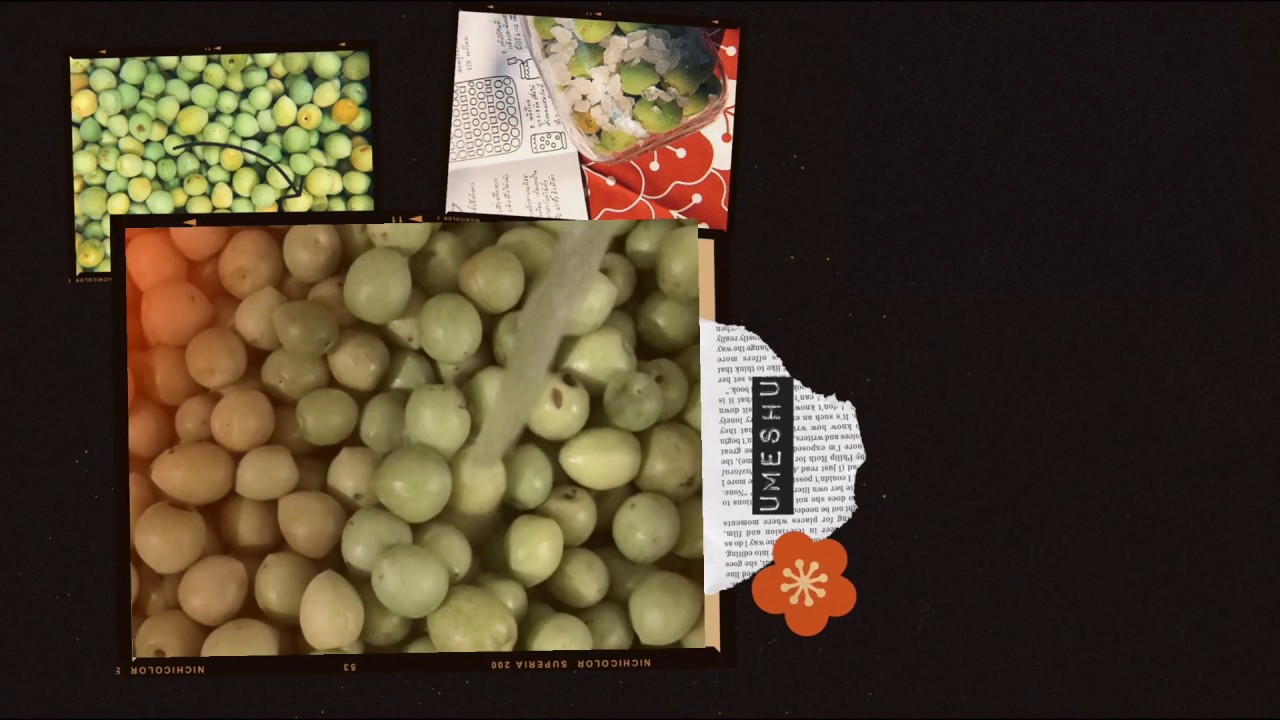 วิธีดองเหล้าบ๊วย How to Make homemade JAPANESE PLUM WINE (Umeshu) 梅酒の作り
