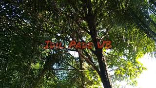 Suara Kelelawar Kampret Kalong #mastersuarakelelawar