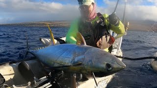 Hawaii Kayak Fishing: Catching Sashimi for the Holidays!