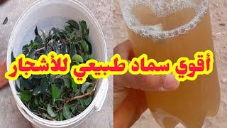 كيف تصنع اي سماد طبيعي في البيت || أقوي سماد للأشجار والنباتات 