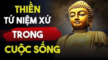 Tại Sao Thiền Tứ Niệm Xứ Lại QUAN TRỌNG Với Cuộc Sống Hiện Đại?