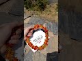 قلبي الذي أودعته نبض الهوى لم يمحو تلك الذكريات ولانوى قلبي بالدعاء يرعاك قلبي الذي أودعته نبض الهوى لم يمحو تلك الذكريات ولانوى قلبي بالدعاء يرعاك