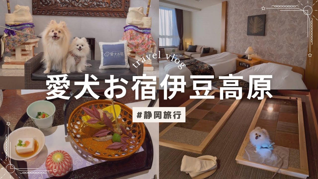 【伊豆旅行】愛犬のためのリゾートホテルに泊まってみたら充実しすぎた、、！