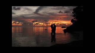 Kau Tercipta Bukan Untukku   Shinta Arsinta