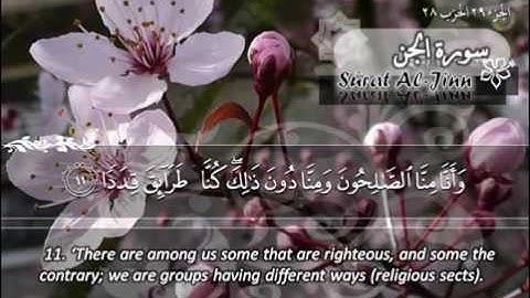 سورة الجن ماهر المعيقلي   Sûrat Al Jinn Maher Al Muaiqly