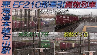 EF210形牽引貨物がのっそり動き始めたその時に抹茶色が!そして何かがくる?東海道本線石山駅
