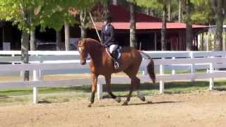 Holly Hill Girls Fieldstone Spring Festival 2013