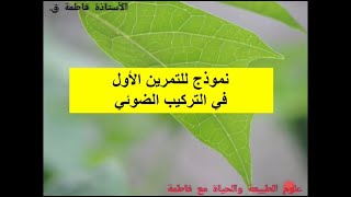 3 ثانويI  التمرين الأول حول التركيب الضوئي