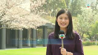 Traditional industrial hub Jiangsu offers ample scenarios for AI applications | TVB News | 2026/4/6