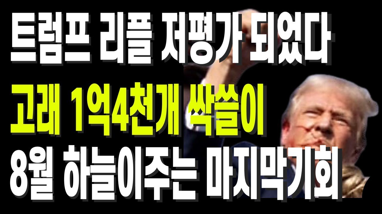 비트코인 리플 도지코인 이더리움 트럼프 리플 저평가 되었다 고래 1억4천개 싹쓸이 8월 하늘이주는 마지막기회 - YouTube