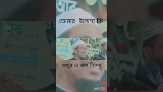 anechur rohoman asrafi 2023 wojj bangla