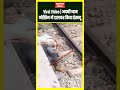 Viral Video - जिंदगी दांव पर लगाकर बचाई मासूम की जान
