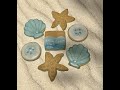 Decorating Beach Themed Cookies Starfish Shell Sand Dollar Beach