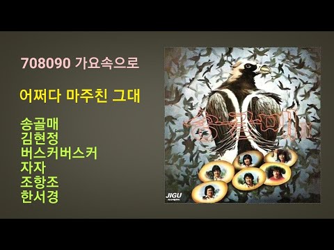 어쩌다 마주친 그대 송골매 김현정 버스커버스커 자자 조항조 한서경