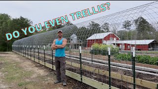 Cattle Panel Trellis Build | Howto/DIY