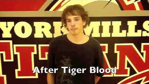 Placebo Effect Documentary Part 2