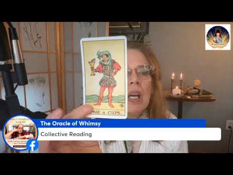 What You Need to Know This Week | Intuitive Tarot Reading