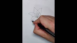 Practice drawing flowers with one line