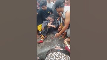 spesial cak bus ndadi seraaam #shorts