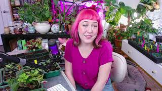 transplanting HUNDREDS of flower seedlings!!!🌱 Last Minute Laura