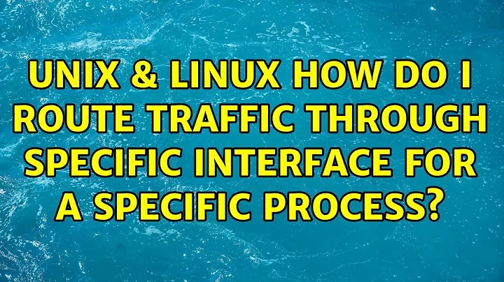 Unix & Linux: How do I route traffic through specific interface for a specific process?