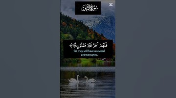 #سورة-التين #القران #المصحف #الرحمن #اكسبلور #السعودية #المغرب #العراق #العراق #القرآن_الكريم #duet