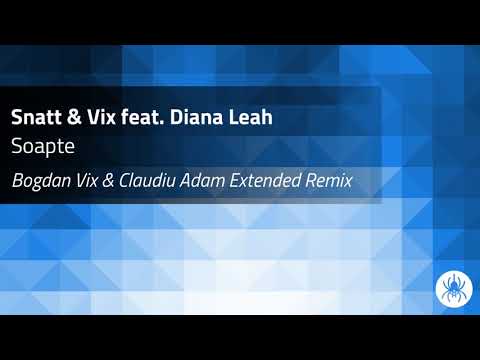 Snatt & Vix feat. Diana Leah - Soapte (Bogdan Vix & Claudiu Adam Extended Remix)