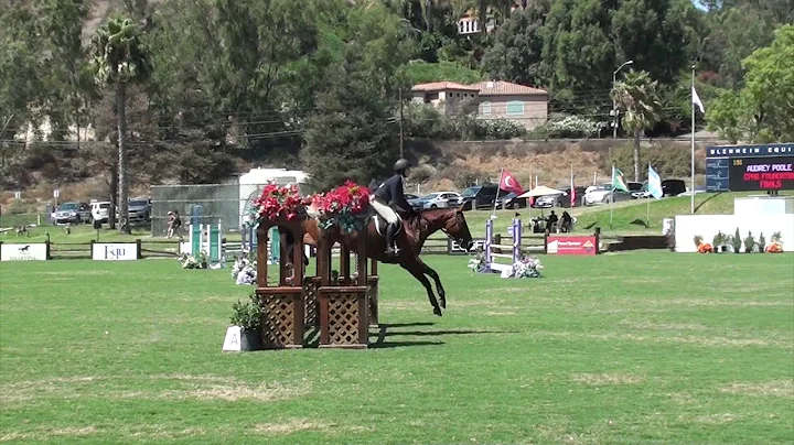CPHA Foundation Finals  - Audrey Poole & RiverCros...