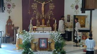 Join us for Adoration and Mass (4/26/26)