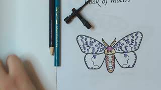 Little coloring book of moths, satisfyingly imperfect coloring relaxing bug coloring book